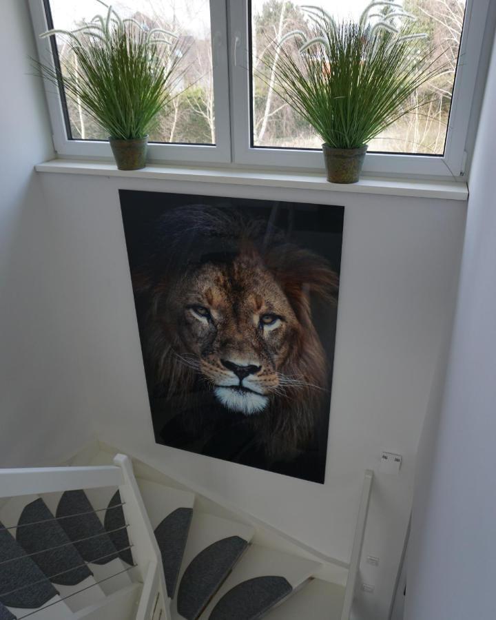Ferienhaus Marny Trassenheide Kültér fotó
